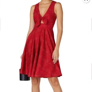 Hutch Red Sleeveless Dress